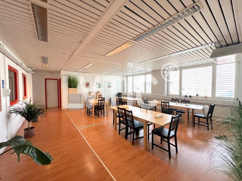 Dépôt de 4000 m2 divisibles dès 2200 m2 à louer à Meyrin - Satigny (6)