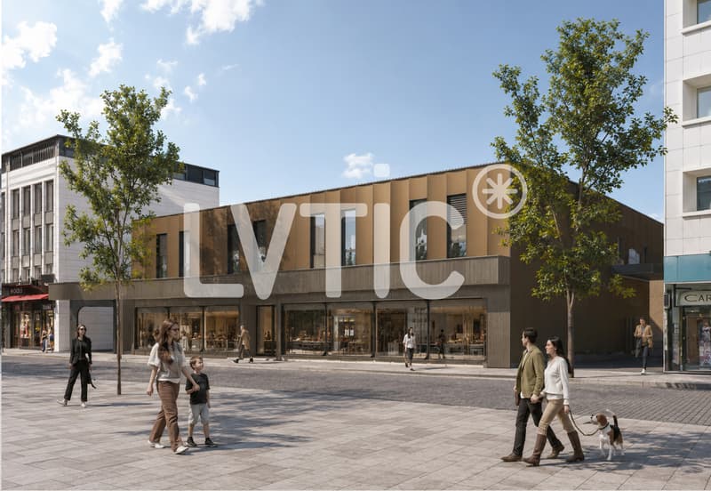 Locaux, cabinets, bureaux de 630 m2 divisibles à louer à Martigny (1)