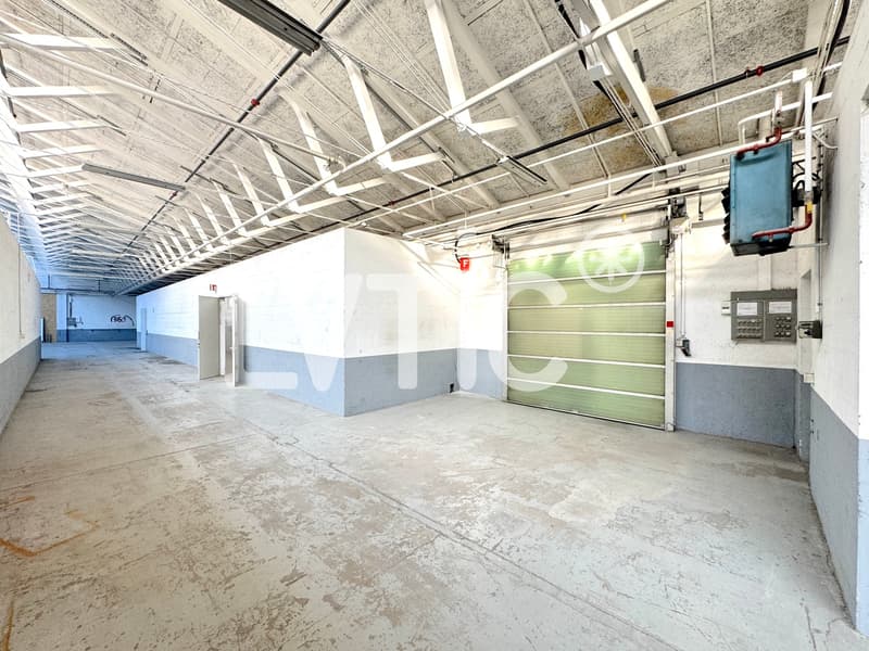 Dépôt de 1'040 m2 à louer à Meyrin (4)