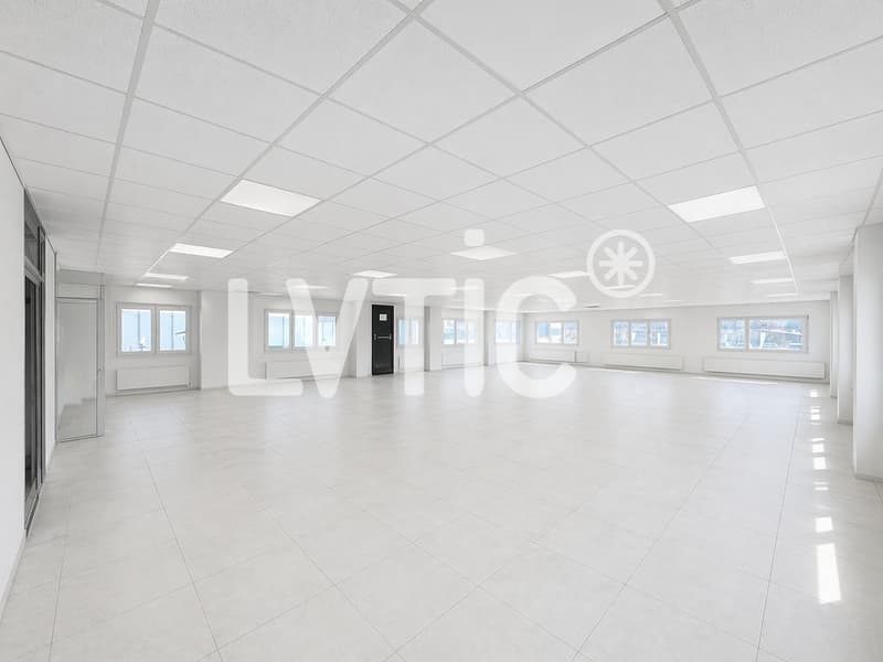 Locaux, bureaux de 230 m2 et terrasse de 70 m2 à louer à Yverdon (2)