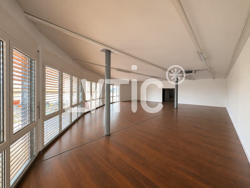 Locaux, bureaux, atelier de 336 m2 à louer à Villeneuve (3)