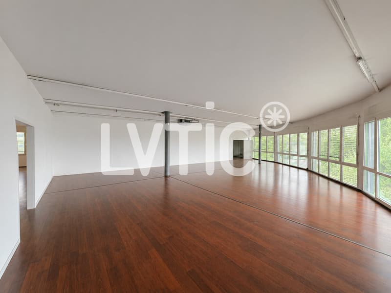 Locaux, bureaux, atelier de 336 m2 à louer à Villeneuve (5)