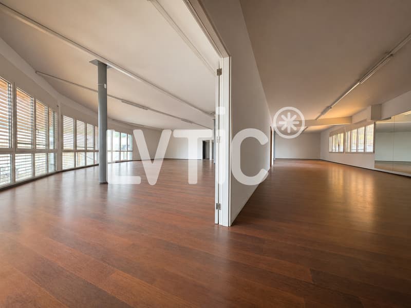 Locaux, bureaux, atelier de 336 m2 à louer à Villeneuve (4)