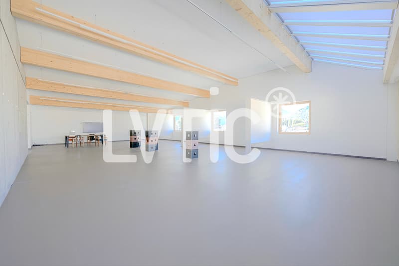 Bureaux, locaux de 600 m2 divisibles dès 300 m2 à louer à Martigny (1)