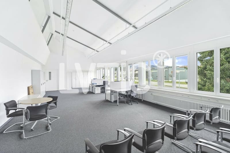 Halle industrielle et bureaux de 3000 m2 divisibles à louer à Avenches (4)