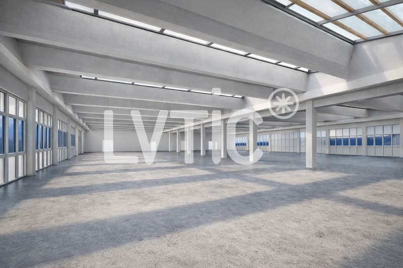 Halle industrielle et bureaux de 3000 m2 divisibles à louer à Avenches (2)