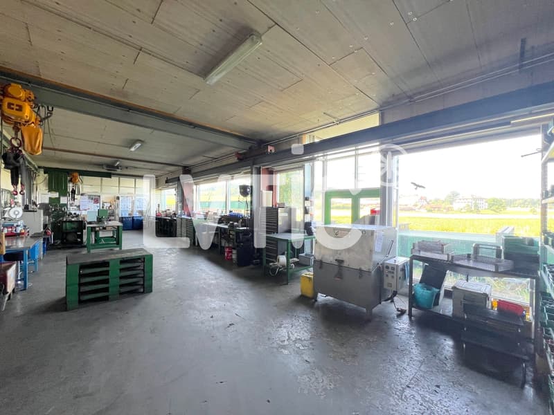 Bâtiment industriel 1895 m2 sur parcelle 3120 m2 à vendre - Hindelbank (5)