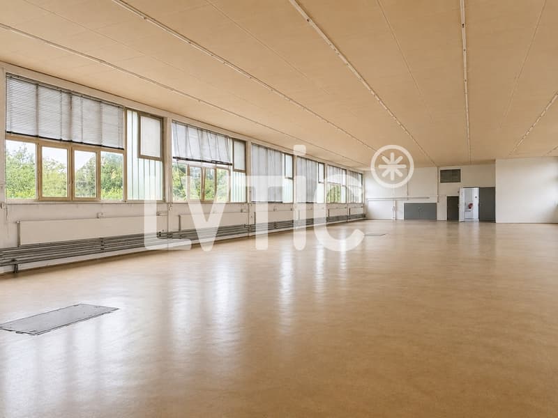 Halle, dépôt de 1240 m2 à louer à Saint-Sulpice (2)