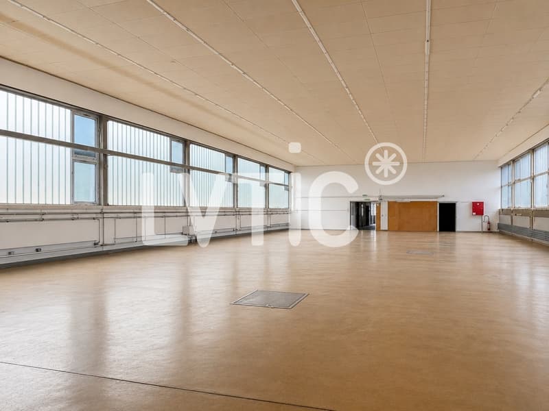 Halle, dépôt de 1240 m2 à louer à Saint-Sulpice (3)