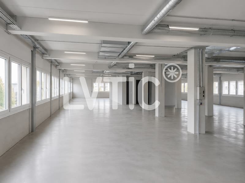 Atelier, labo de 842 m2 à louer au Mont-sur-Lausanne / Blécherette (2)