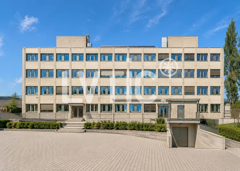 Bâtiment industriel de 3980 m2 divisibles à louer au Mont-sur-Lausanne (8)