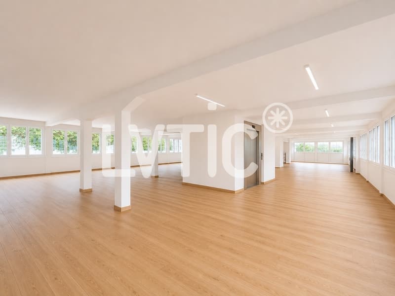 Bâtiment industriel de 3980 m2 divisibles à louer au Mont-sur-Lausanne (6)