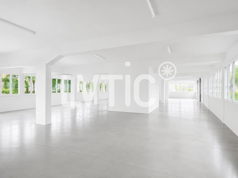 Bâtiment industriel de 3980 m2 divisibles à louer au Mont-sur-Lausanne (3)