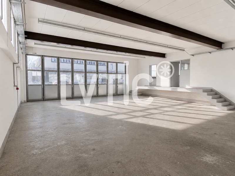 Petit bâtiment à usage d'atelier de 305 m2 à louer à Bex (3)
