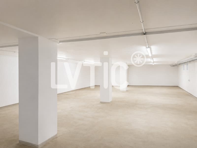 Dépôt, bureau, atelier de 469 m2 à louer à St-Légier (4)