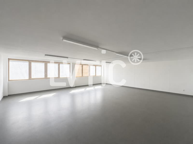 Dépôt, bureau, atelier de 469 m2 à louer à St-Légier (3)