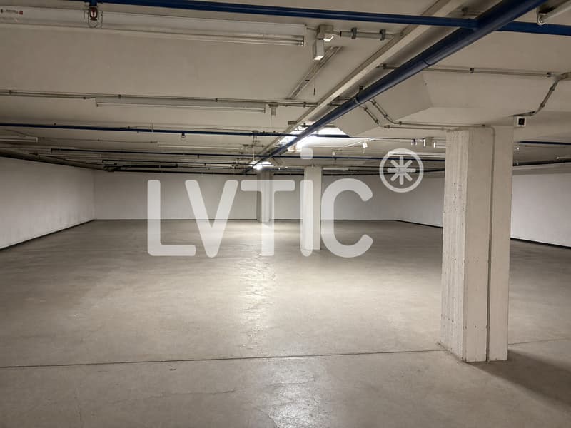 Dépôt de 680 m2 divisibles dès 300 m2 à louer à Martigny (2)