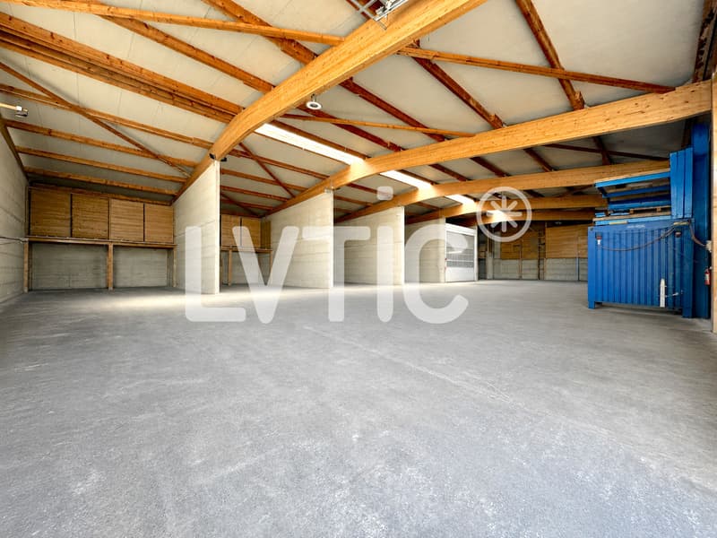 EXCLUSIVITÉ - Halle industrielle de 1500 m2 à louer à Moudon (2)
