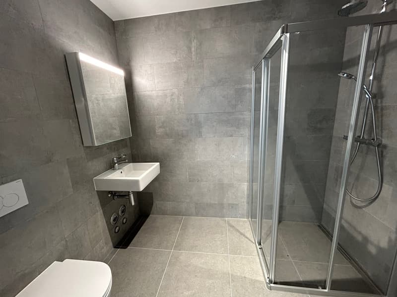 Modern bathroom with gray tile walls and floors, a white sink, a glass shower enclosure, and a mirror on the wall.