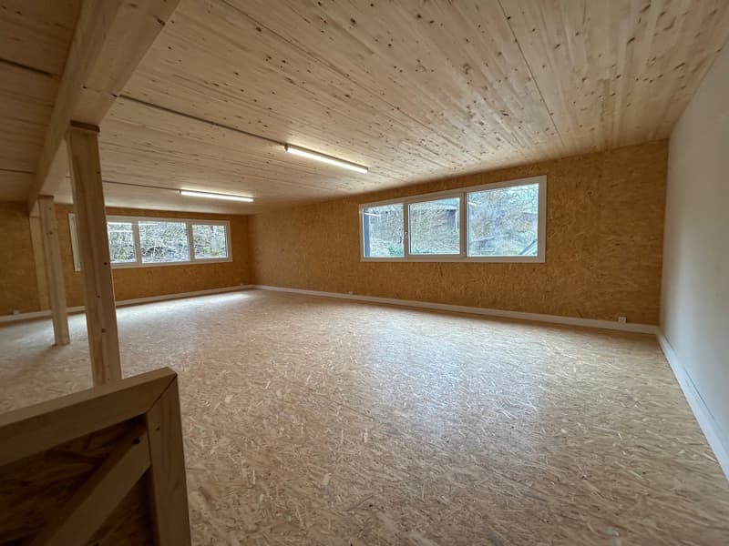 Local/dépôt n° 6 - Ch. de Plans-Praz 32 (7)