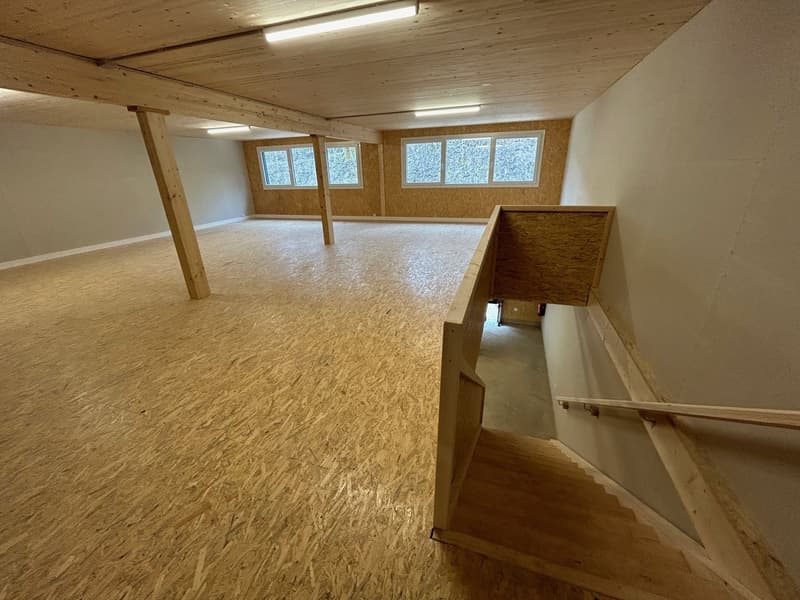 Local/dépôt n° 8 - Ch. de Plans-Praz 32 (7)