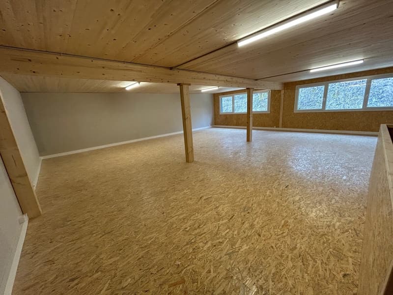 Local/dépôt n° 8 - Ch. de Plans-Praz 32 (6)