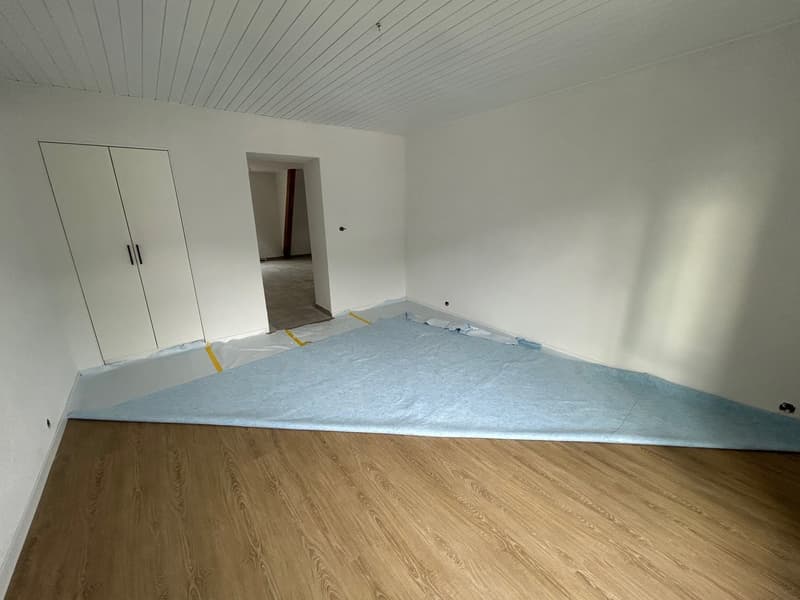 Appartement de 3,5 pièces entièrement rénové (10)