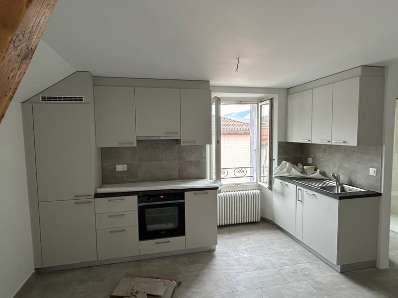 Appartement de 3,5 pièces entièrement rénové (3)