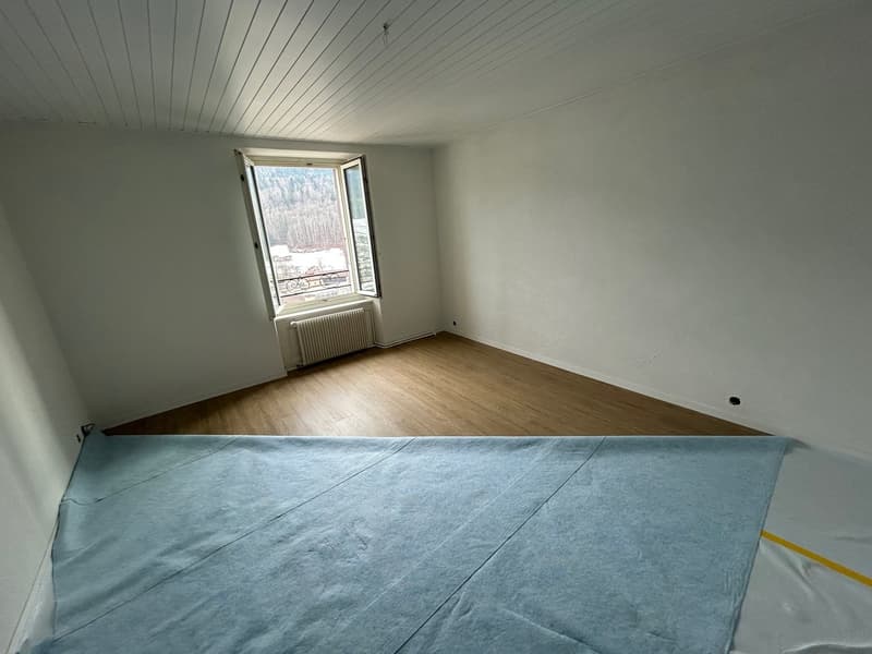 Appartement de 3,5 pièces entièrement rénové (9)
