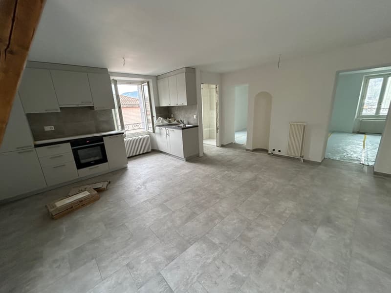Appartement de 3,5 pièces entièrement rénové (4)