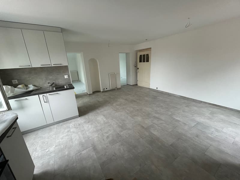 Appartement de 3,5 pièces entièrement rénové (5)