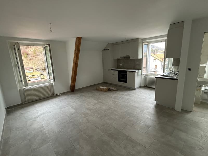 Appartement de 3,5 pièces entièrement rénové (2)
