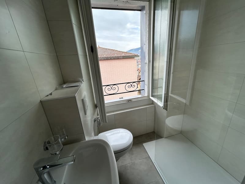 Appartement de 3,5 pièces entièrement rénové (6)