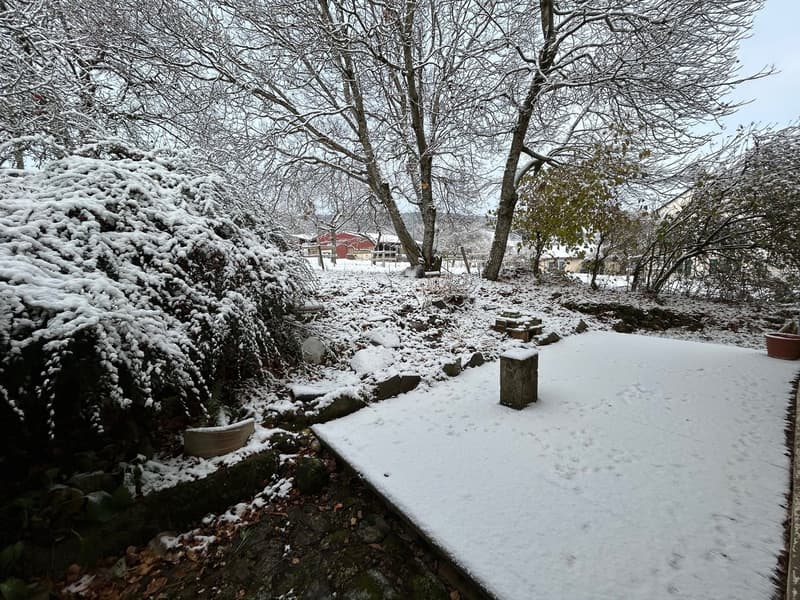 winter garden with snowy bushes, concrete pathway, and scattered fallen leaves