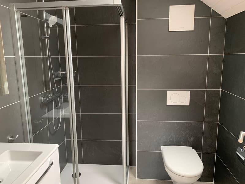 Bathroom with shower, toilet, sink, tiles, mirror