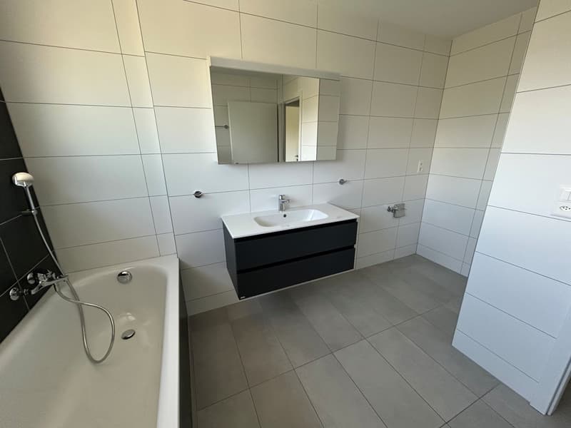 Magnifique villa de 5.5 pièces avec garages à Vallorbe (22)