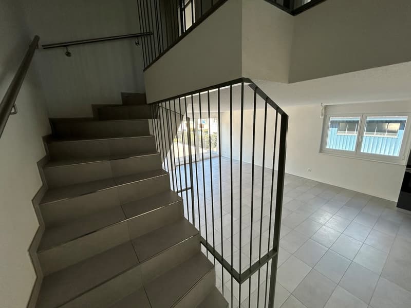 Magnifique villa de 5.5 pièces avec garages à Vallorbe (16)