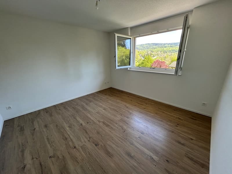 Magnifique villa de 5.5 pièces avec garages à Vallorbe (18)