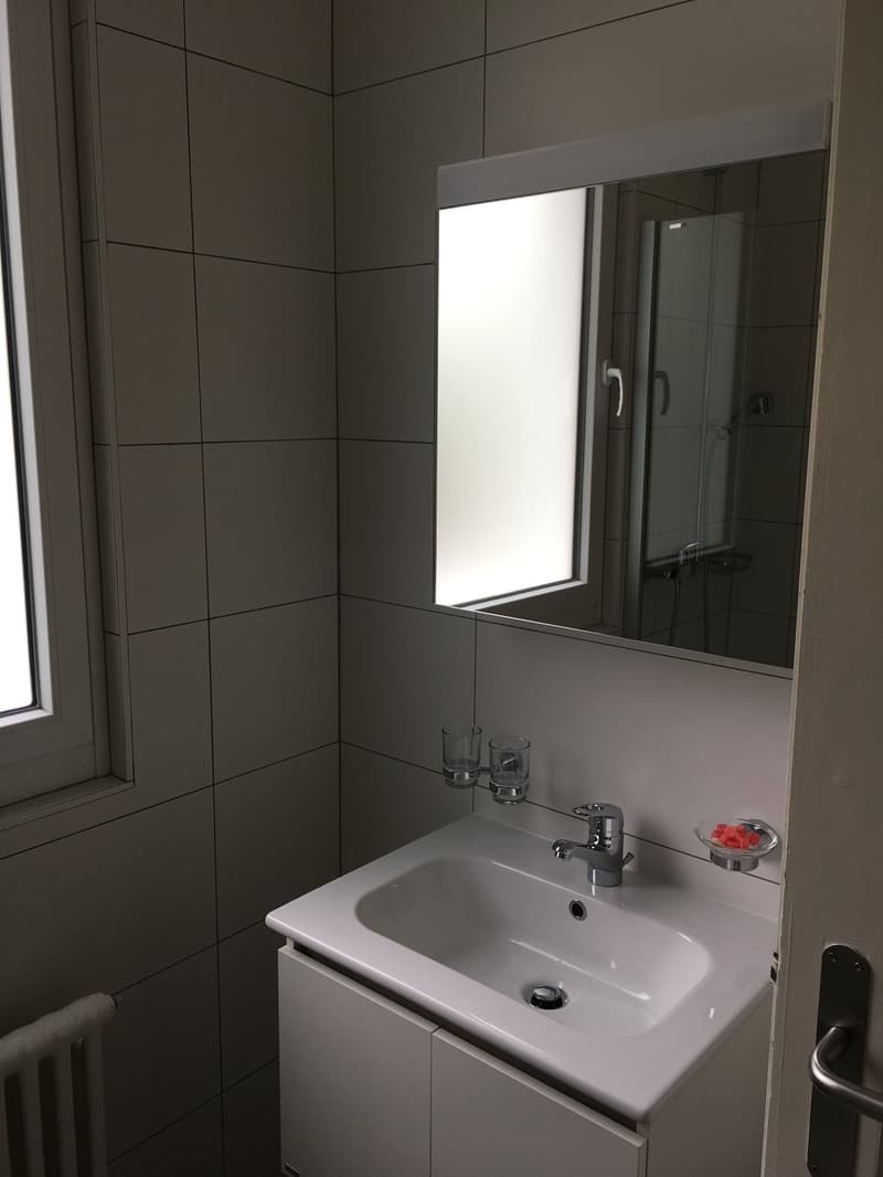 Appartement de 5,5 pces avec terrasse et jardin privatif (6)