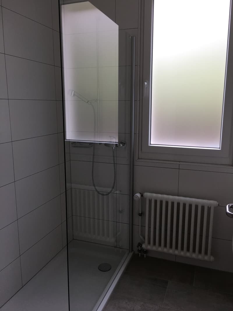 Appartement de 5,5 pces avec terrasse et jardin privatif (7)