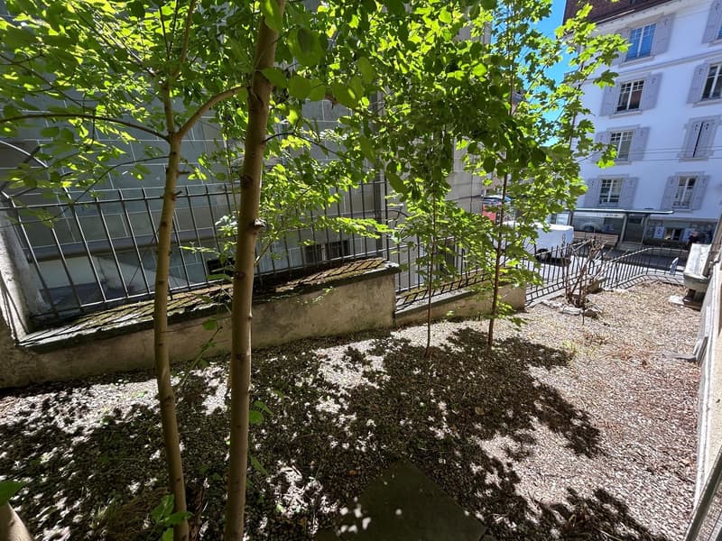 Appartement de 2,5 pièces avec terrasse (7)