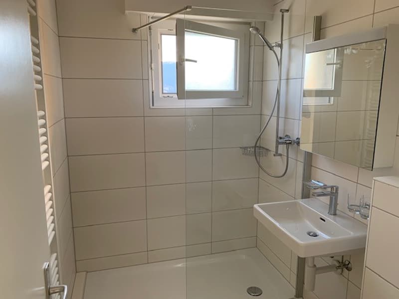 Appartement 2 pièces complètement rénové avec balcon (6)