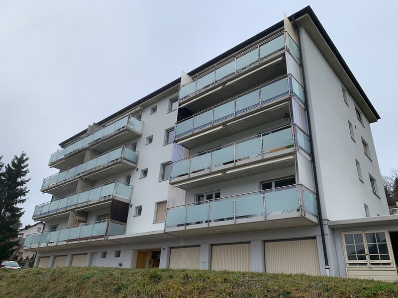 Appartement 2 pièces complètement rénové avec balcon (1)