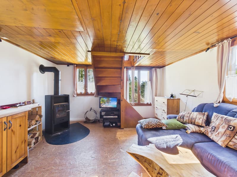 Objet très rare - Chalet de montagne avec confort sur la chaîne du Jura. (5)