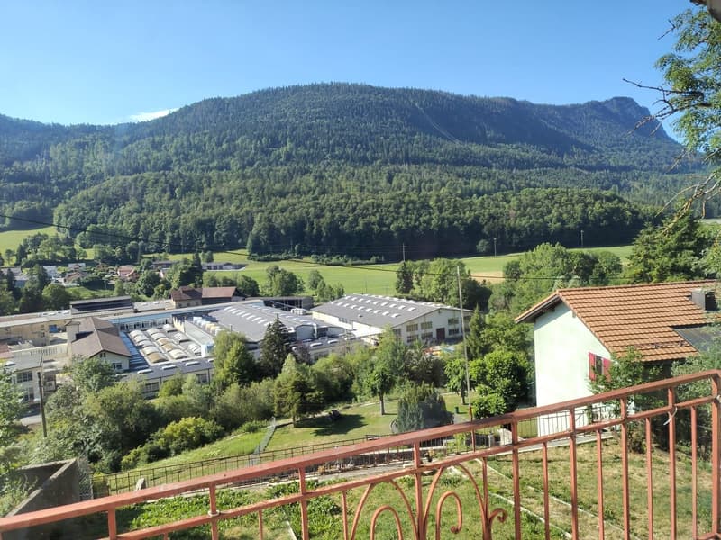 Charmant appartement de 4.5 pièces à Vallorbe – disponible immédiatement (5)