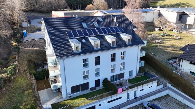 Appartement récent avec grande terrasse en lisère de forêt. (1)