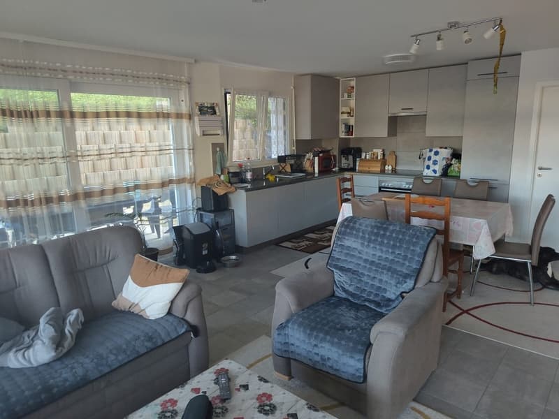 Appartement récent avec grande terrasse en lisère de forêt. (4)
