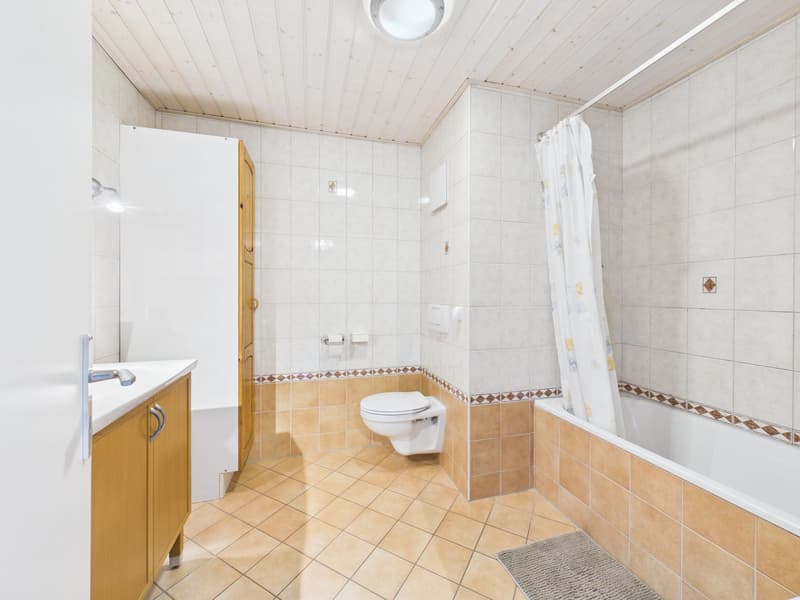 Villa familiale de 6.5 pièces avec jardin et deux terrasses à Echallens (11)