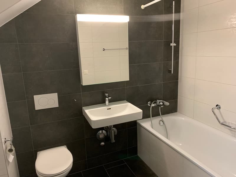 Appartement 4,5 pièces (9)