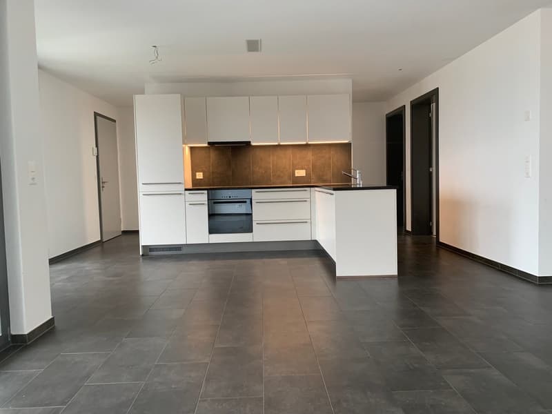 Appartement 4,5 pièces (2)